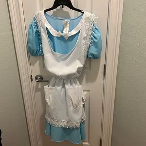 Like New Alice in Wonderland Costume XL